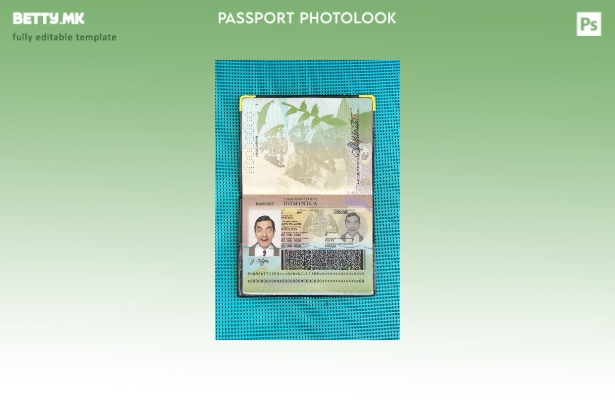 Шаблон за изглед на фотографија од Доминикански пасош во модерен стил